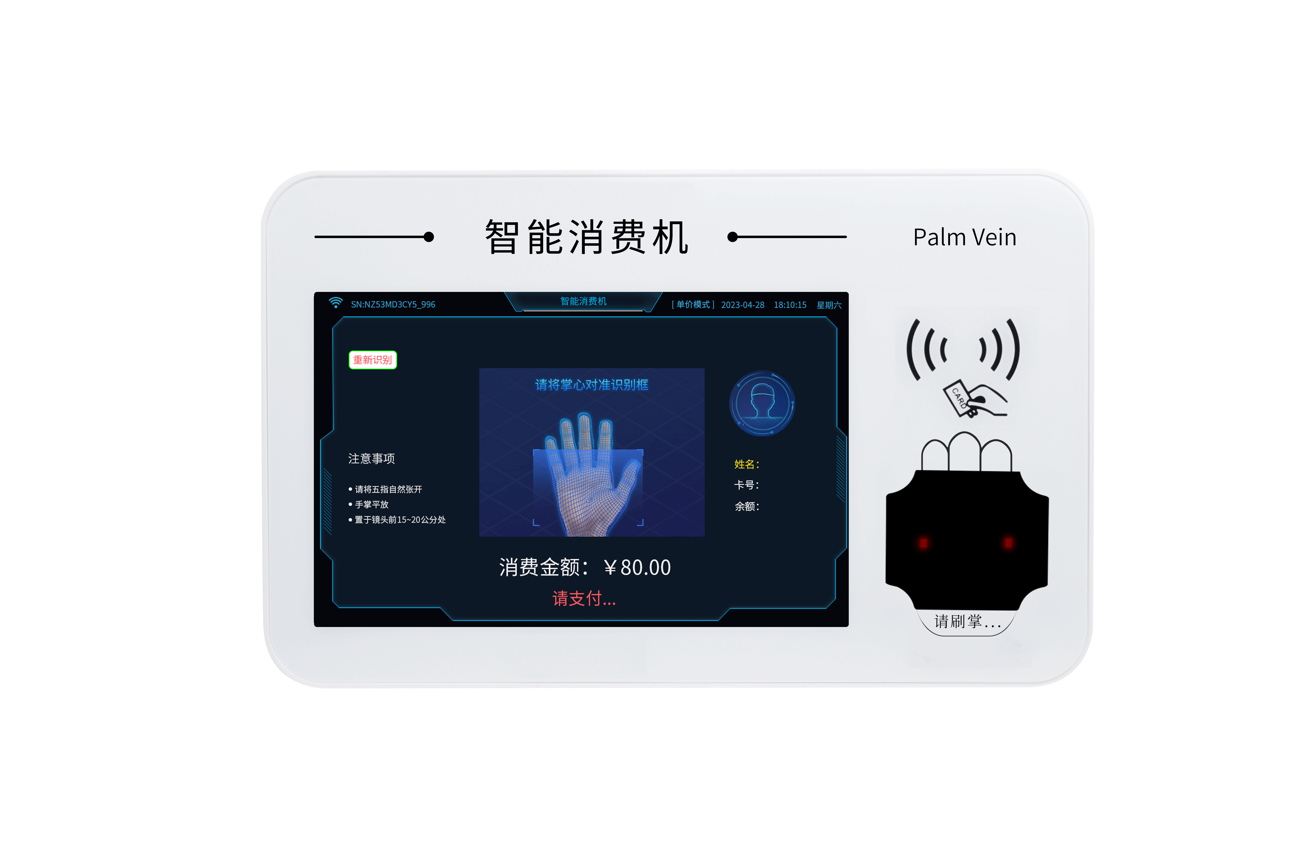 Z50_掌靜脈.png